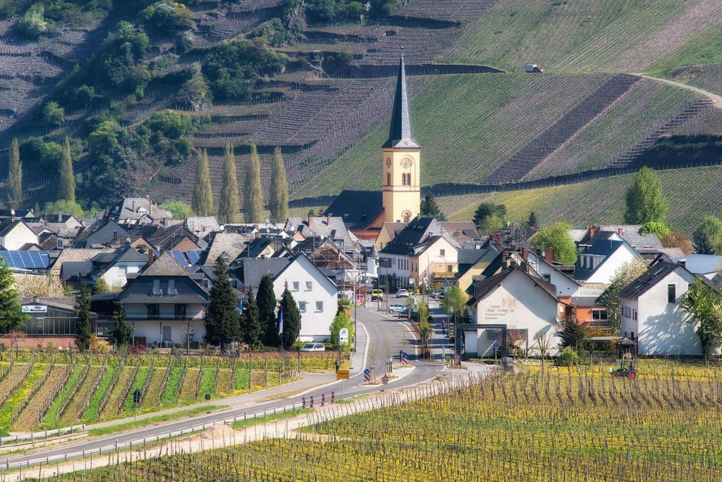 Apartamento Weingut & Gaestehaus Edwin Hoffmann Trittenheim Exterior foto