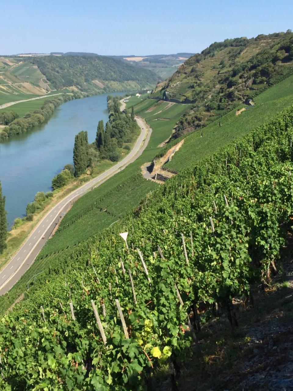 Weingut & Gaestehaus Edwin Hoffmann Trittenheim Exterior foto